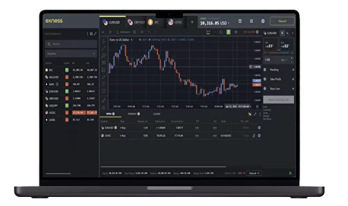 Exness interface